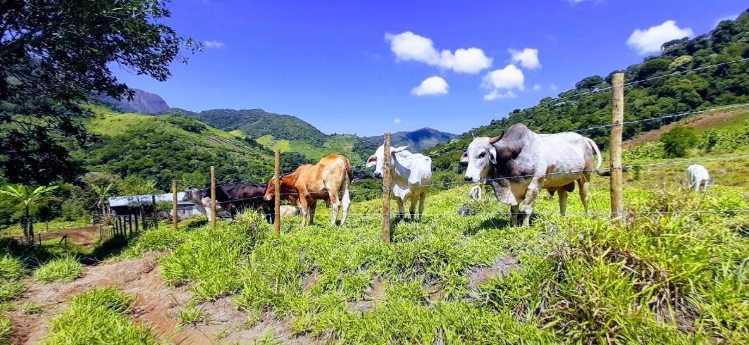 Fazendinha Paraiso Lumiar Ngoại thất bức ảnh